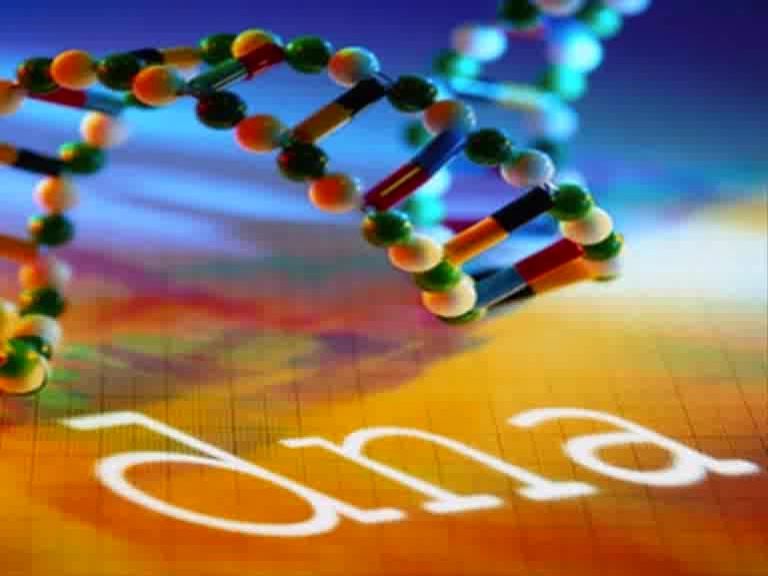DNA vaderschapstest